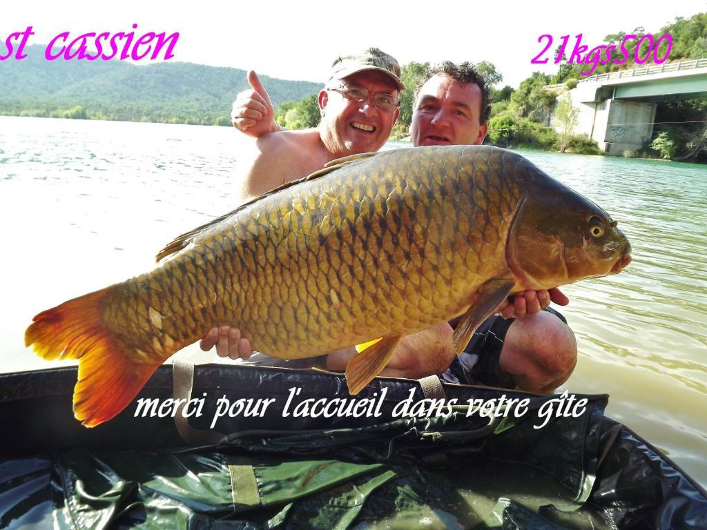 Gite De Saint Cassien Montauroux Exterior foto